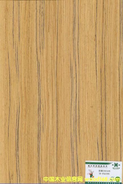 ����鿴̩��TK-EVL019S�Ŵ�ͼƬ