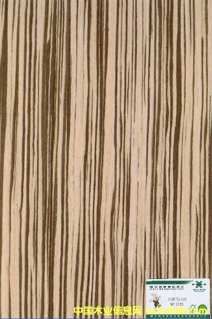 ����鿴�װ���WV-112S����ϸ����