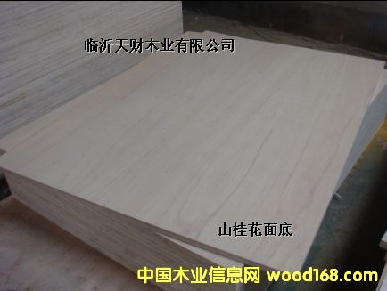 E0 E1 E2ȫľ915*1830mm߽ϰ