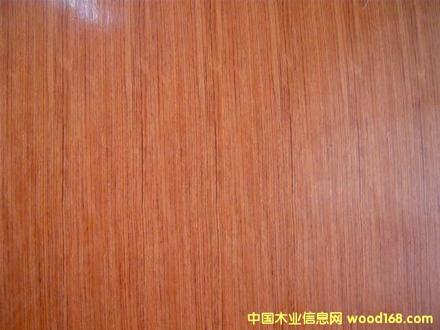 ����鿴��̴���潺�ϰ�Ŵ�ͼƬ