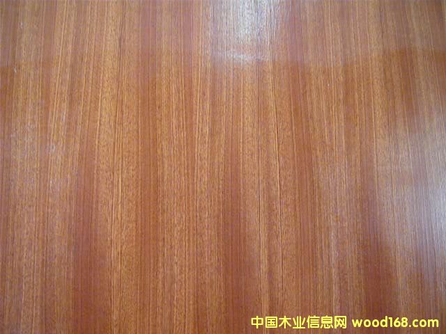 ����鿴ɳ�������潺�ϰ�Ŵ�ͼƬ