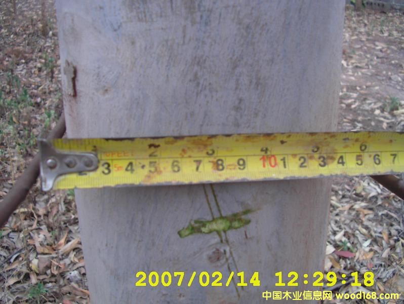 ����鿴�����Ŵ�ͼƬ