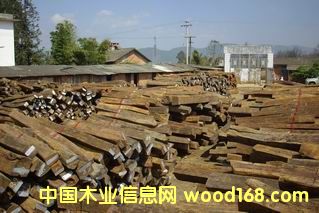 ����鿴����֦�Ŵ�ͼƬ