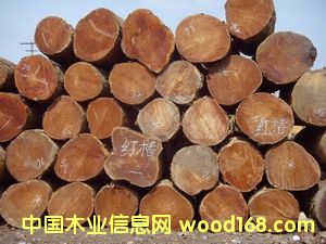 ����鿴���촻�Ŵ�ͼƬ