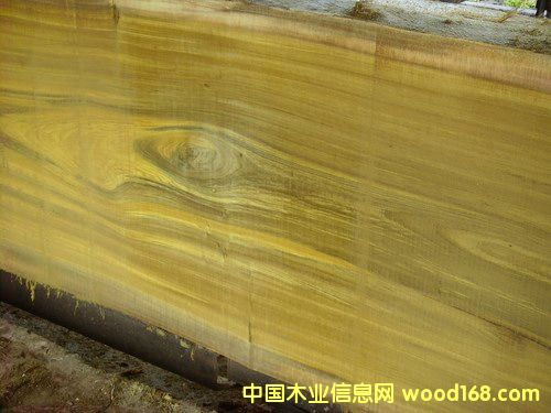 ����鿴�ľ�Ŵ�ͼƬ