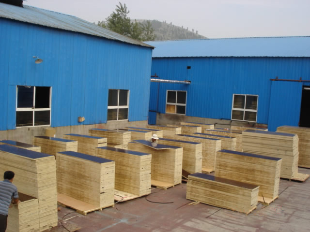 ����鿴����ģ��1����ϸ����