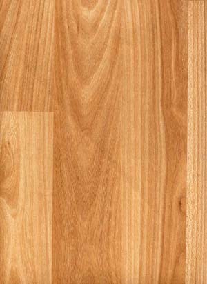 ����鿴�ľ��ľ�ģ��Ŵ�ͼƬ