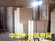 ����鿴ͩľƴ��Ŵ�ͼƬ