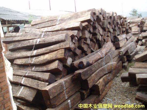 ����鿴������֦�Ŵ�ͼƬ