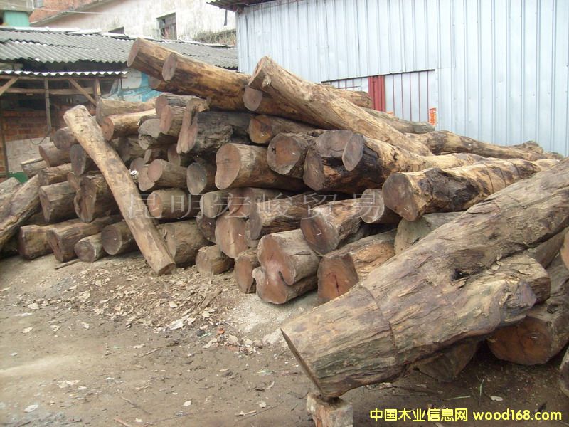 ����鿴���μ���ľ���Ŵ�ͼƬ