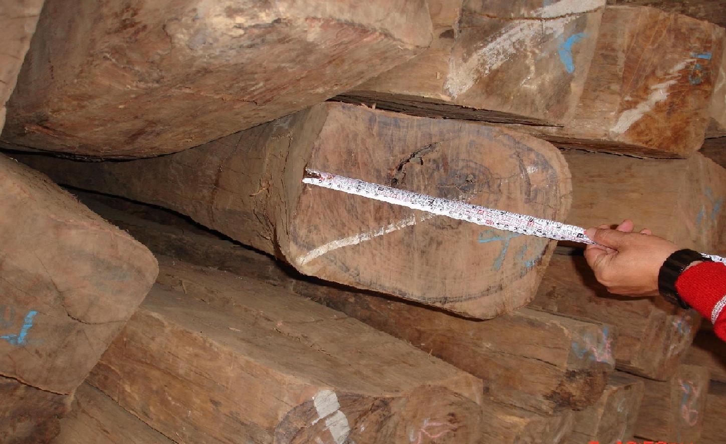 ����鿴������֦�Ŵ�ͼƬ