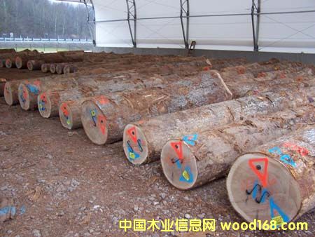 ����鿴����ԭľ�Ŵ�ͼƬ