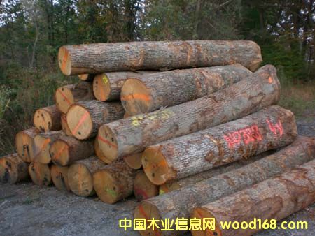 ����鿴����ԭľ�Ŵ�ͼƬ