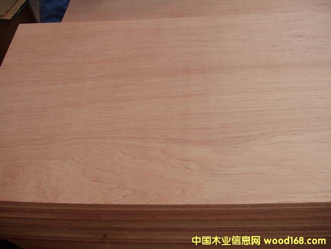 ����鿴���ǹ��Ŵ�ͼƬ