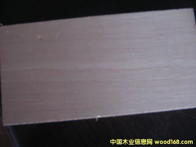 ����鿴��ľ���ϰ�Ŵ�ͼƬ