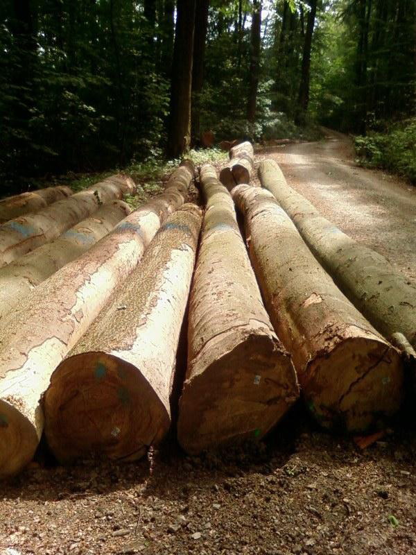 ����鿴ŷ���ľ�Ŵ�ͼƬ