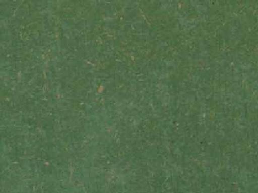 ����鿴ľ��Ⱦɫ���Ŵ�ͼƬ