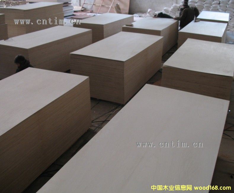 ����鿴ȫ��ľ���ΰ�Ŵ�ͼƬ