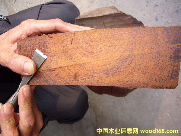 ����鿴��˿骷Ŵ�ͼƬ