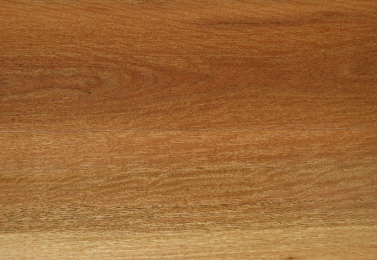 ����鿴���޻�̴�Ŵ�ͼƬ