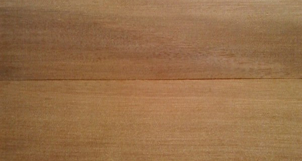 ����鿴��˹�ľ�Ŵ�ͼƬ