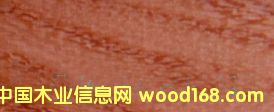 鿴rosewood̫ƽľŴͼƬ