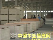 ����鿴��ľ���ϰ�Ŵ�ͼƬ