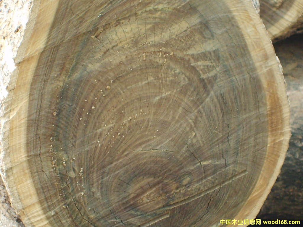 ����鿴��Ӧ��������̴�Ŵ�ͼƬ