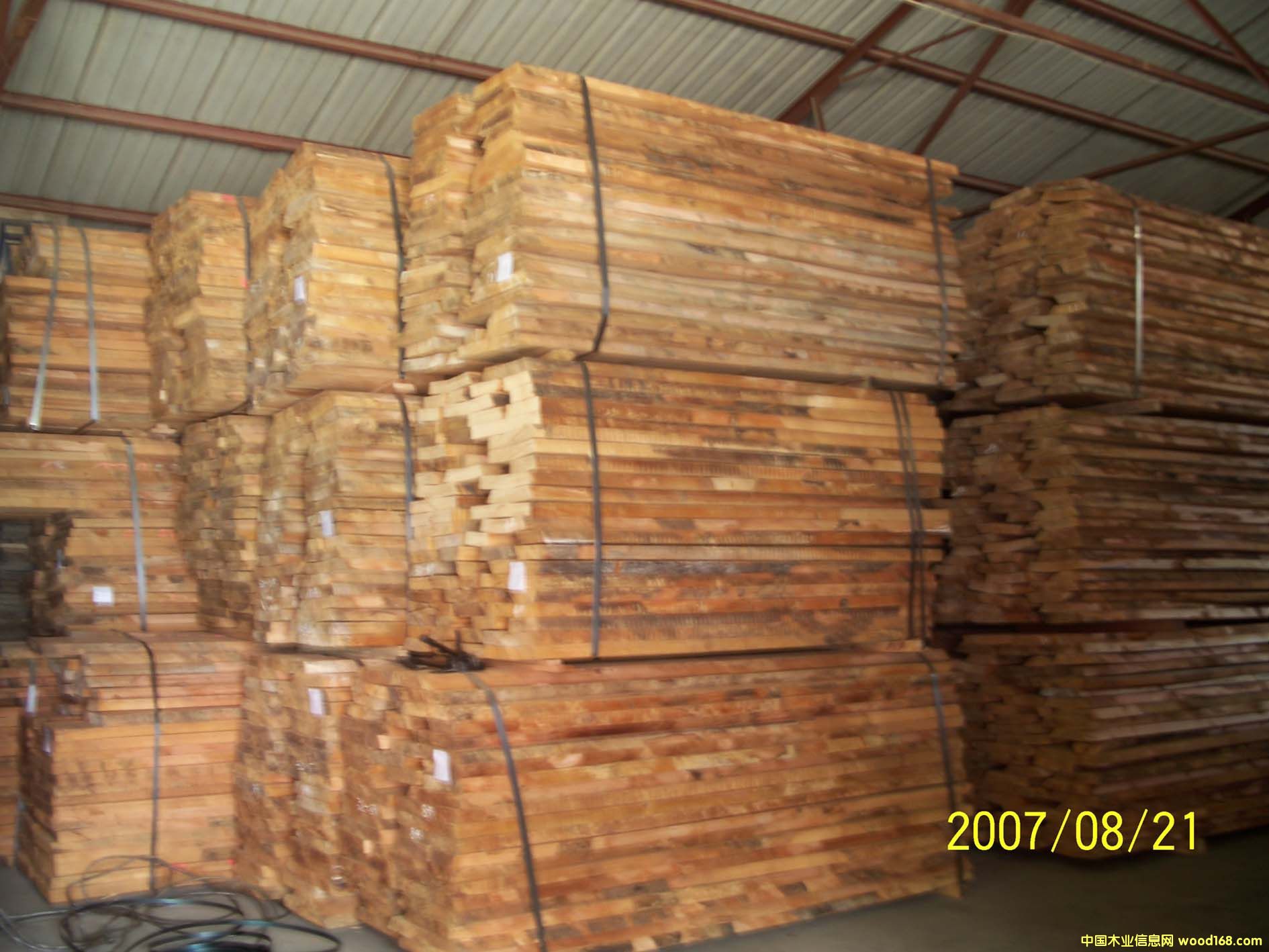 ŷ���ľë�߰����ϸ����