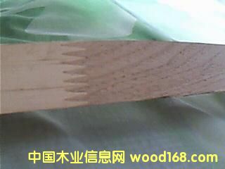 ����鿴��ľָ�ӲķŴ�ͼƬ