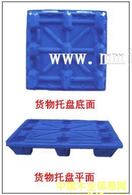 ����鿴��ľ���̷Ŵ�ͼƬ