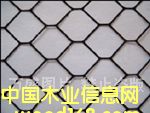 ��ݸ������͸��������������͸�����壬͸��������������