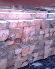 ����鿴��ľ���ϷŴ�ͼƬ