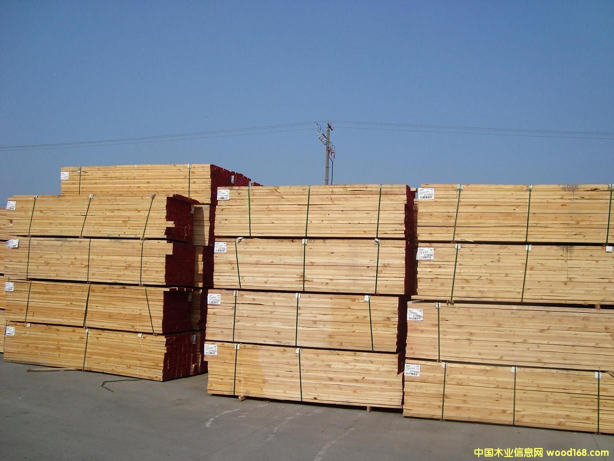 ����鿴������ʪ��Ŵ�ͼƬ