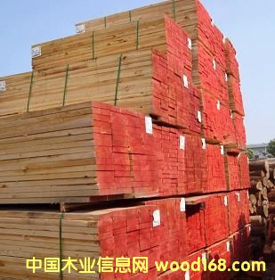 ����鿴�����ɷŴ�ͼƬ