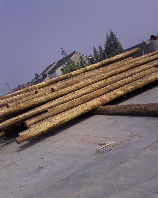 ����鿴��ɼԭľ�Ŵ�ͼƬ