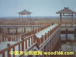 ����鿴ľ�ݷŴ�ͼƬ