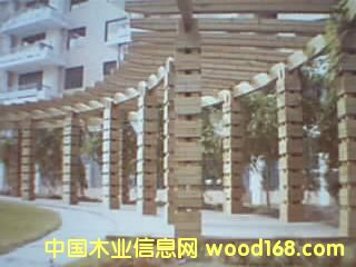 ����鿴ľ��Ʒ�Ŵ�ͼƬ