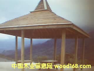 ����鿴�����ŷŴ�ͼƬ