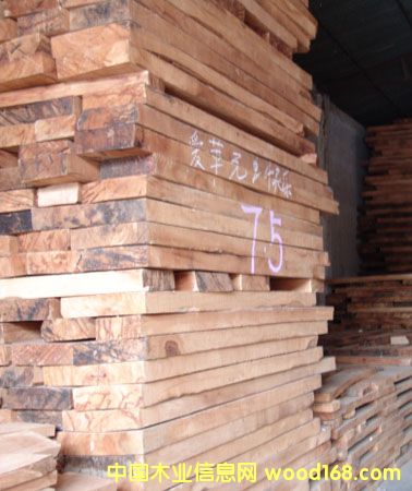 ����鿴ɼľ�Ŵ�ͼƬ