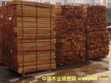 ����鿴��ľ�Ŵ�ͼƬ