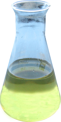 ����鿴��ѧ�ϳɵ����ͷŴ�ͼƬ