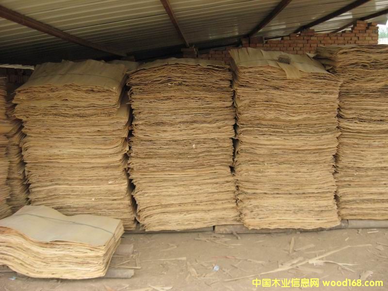 ����鿴��ľ�ľƤ�Ŵ�ͼƬ