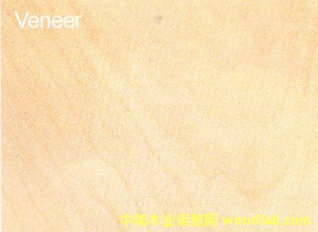 ����鿴����ľ�ĵ���ϸ����