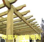 ����鿴����ľ��8����ϸ����