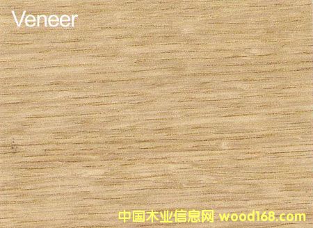 ����鿴����ľ�ĵ���ϸ����