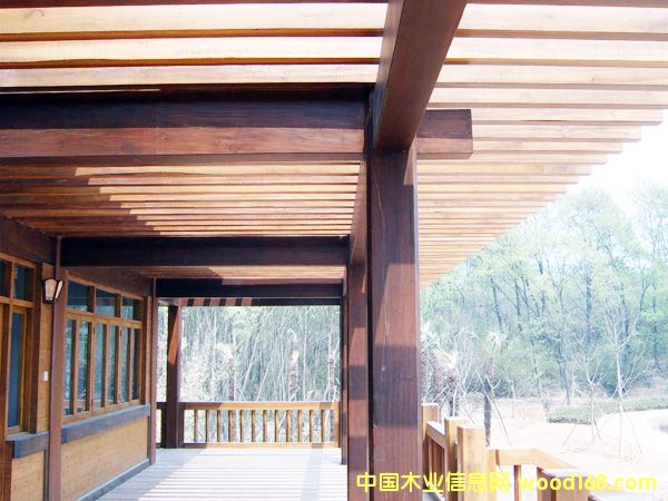 ����鿴����ľ�ĵ���ϸ����