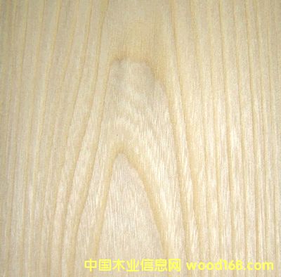 ����鿴����ľ�ĵ���ϸ����