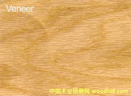 ����鿴����ľ�ĵ���ϸ����