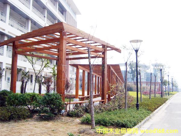 ����鿴����ľ��8�Ŵ�ͼƬ